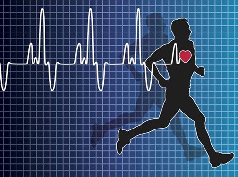 nhịp tim trong thể hình