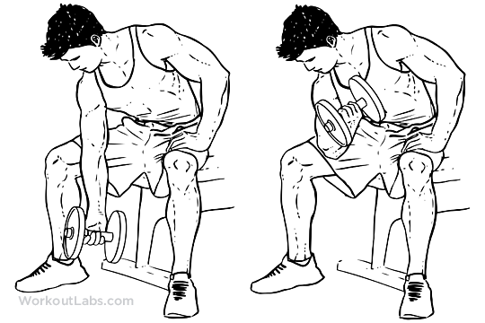 bài tập tay trước