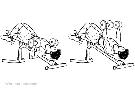 bài tập ngực dưới