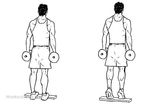 Bài tập bắp chân