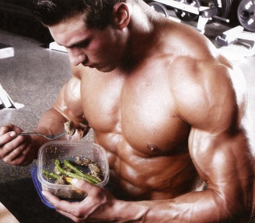 Thực đơn dinh dưỡng