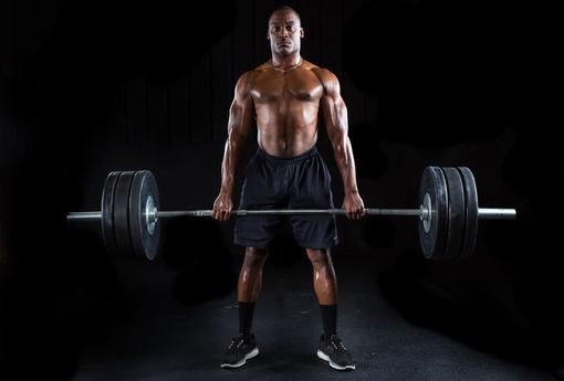 thuật ngữ thể hình