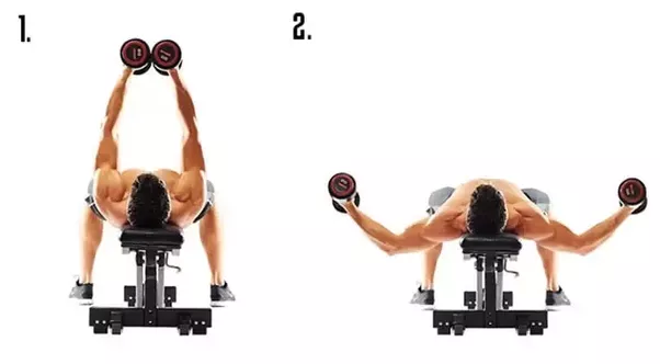 bài tập cơ ngực