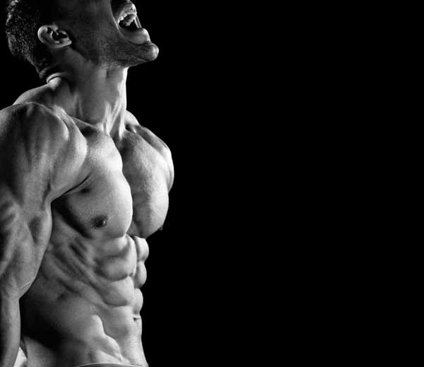 siết cơ giảm mỡ