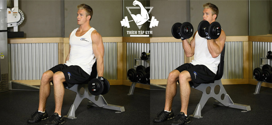 Seated Incline Dumbbell Curl